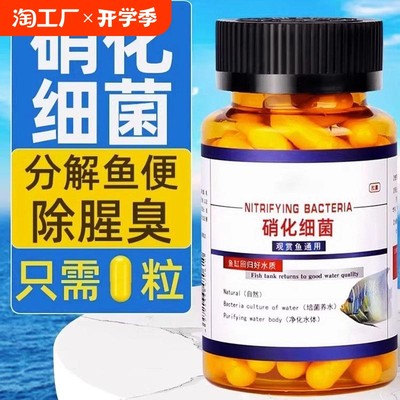 当前网购流行
