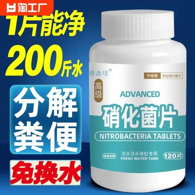 当前网购流行产品