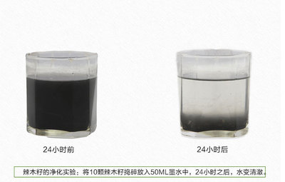 绿色环保实用的辣木净水剂